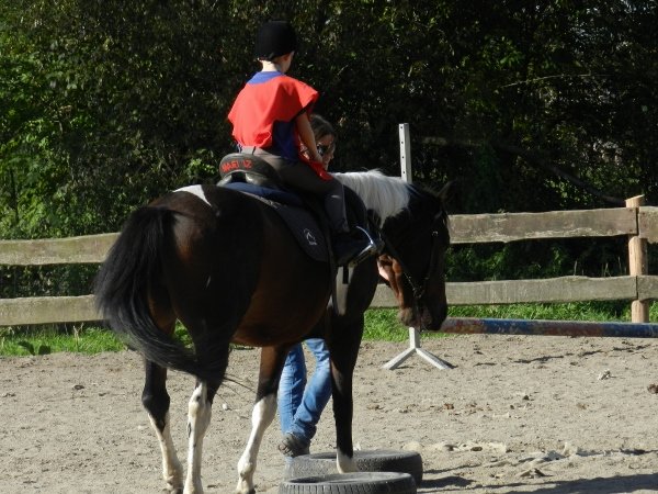 Babie Lato 2015